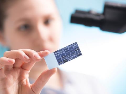 Scientist holding DNA sequence