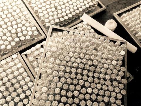 Smallpox vaccine