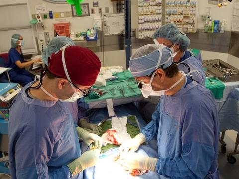 Surgery