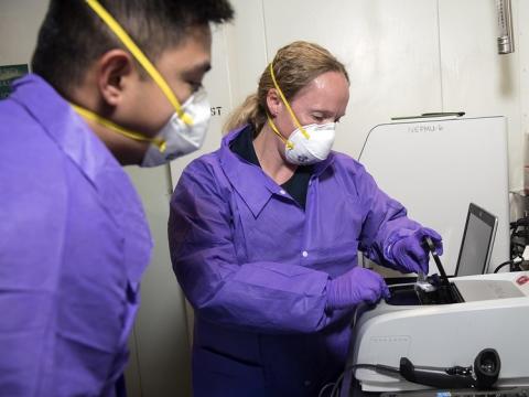 Health workers testing for pathogens