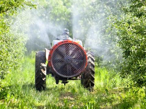 Tractor spraying apple orchard