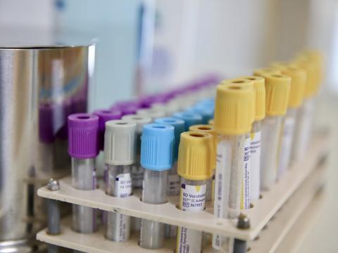 vaccine trial