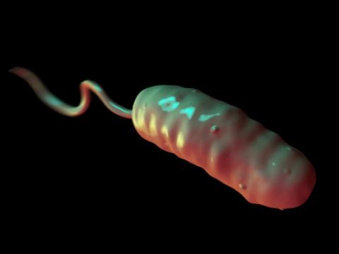 Cholera