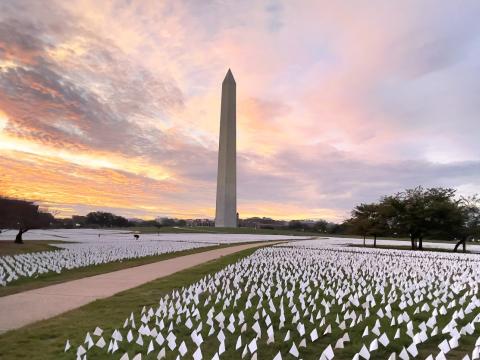 White COVID memorial flags and the Washington Monument