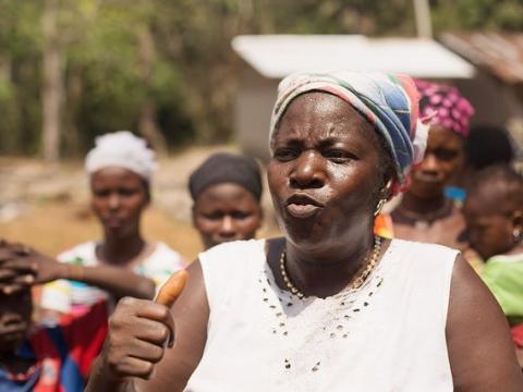 Guinea well project