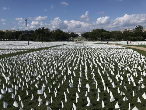 White flag COVID death memorial in front of White House