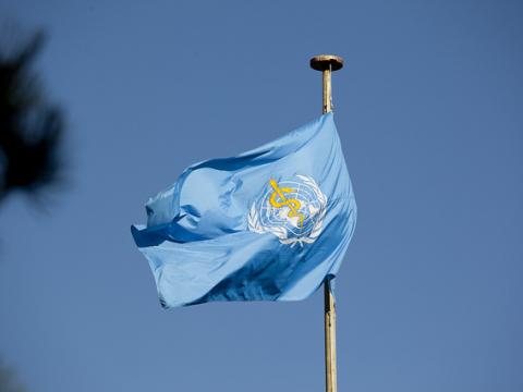 WHO flag