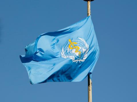 WHO flag