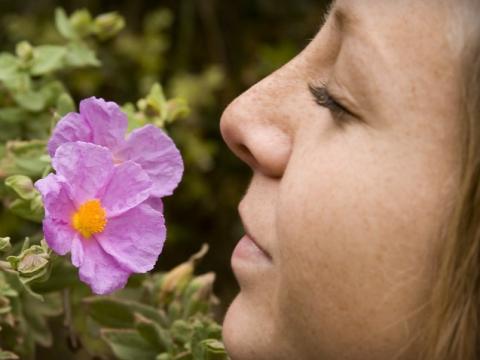Woman smelling a flower