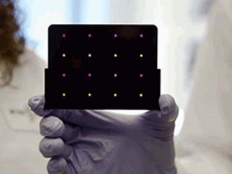 Zika paper test