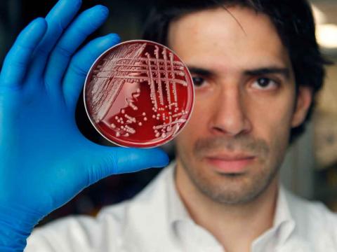Hosam Zowawi, PhD