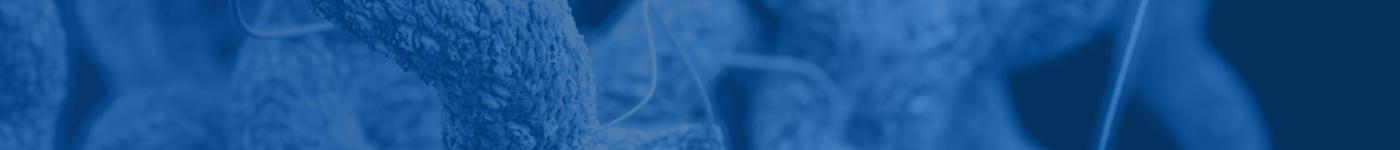 Campylobacter sp. - Blue