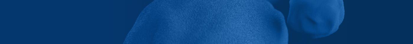 Chlamydia pneumoniae - Blue