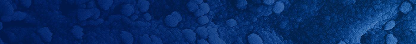 MERS CoV, Under vero E6 - Blue