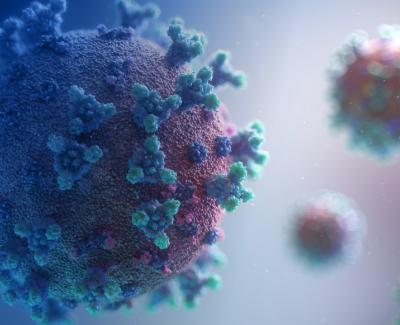 Rendering of virus