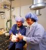 Avian vaccnie research