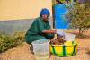 Baby bath at Ebola ETU
