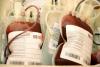 Bags of blood