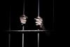 Jailed person