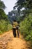 Bicycle remote DRC jungle