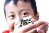 Boy with turtle