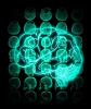 Brain superimposed on CT scans