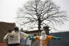 burial decontamination