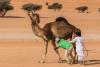 Camel and handlers