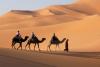 Camel caravan