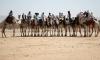 Camel riders in Africa
