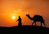 Cameleer and camel