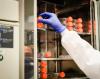 Cell culture incubator in laboratory