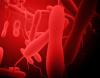 Cholera bacteria