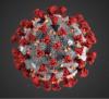 Coronavirus illustration