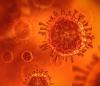 Coronavirus illustration