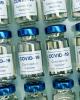 Rows of COVID-19 vaccine vials