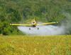 Crop-dusting plane