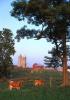 Dairy farm