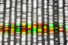 DNA sequencing