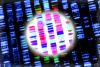 Gene sequencing