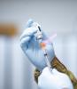 Drawing COVID vaccine from vial into syringe