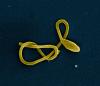 Ebola balloon