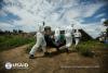 Ebola workers in Liberia carry a body bag.