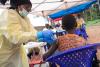 Ebola vaccination in DR Congo
