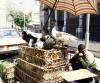 Cairo poultry market