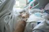 Elderly hand in hospital bed