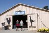 Poultry barn at fair