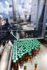 Filling and freeze-drying vaccine bottles