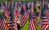 multiple flags