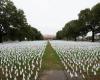 White flags representing COVID-19 deaths